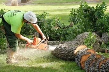 Emergency Tree Services service image