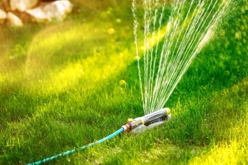 How to Prepare Your Trees for California’s Dry Season main image